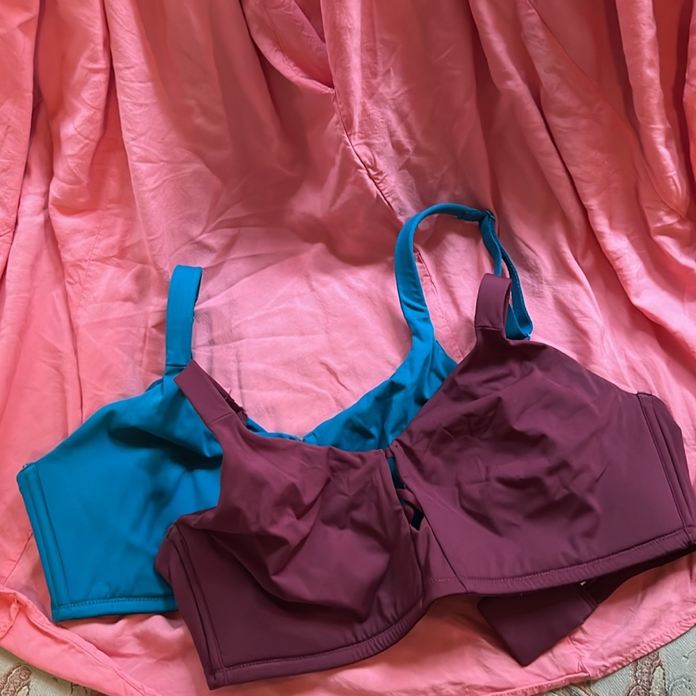 Bare Necessities Teal and Burgundy Bras